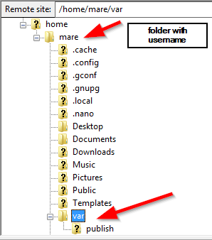 Folder Structure .NET Core Linux Deployment