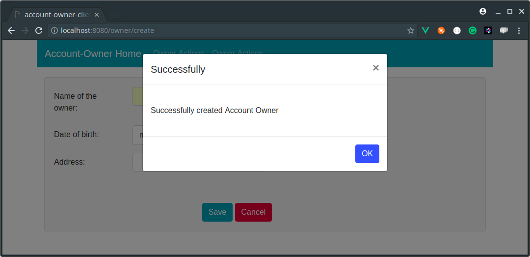 Successfully created Account Owner - v-model