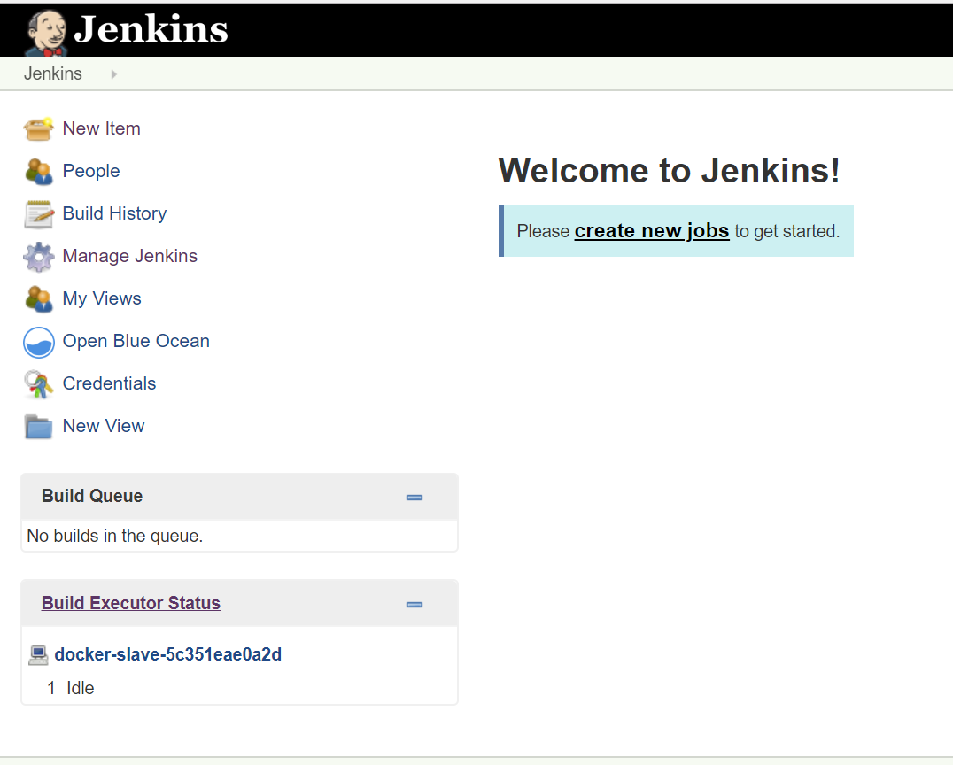 Jenkins dashboard
