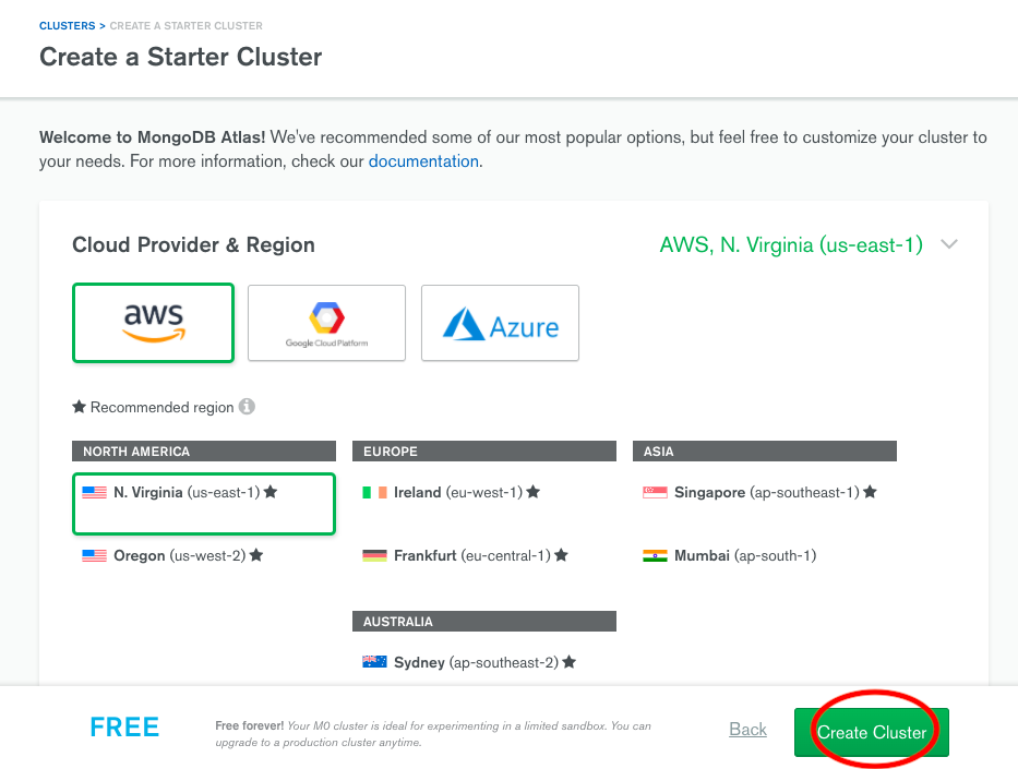 Create a starter cluster - ASP.NET Core - MongoDB Atlas