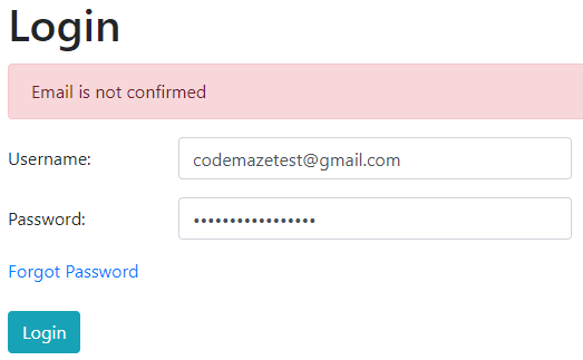  Angular Email Confirmation Error Message