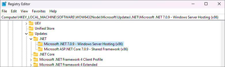 Windows-Server-Hosting-Regedit